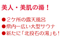 美人・美肌の湯！・2ケ所の露天風呂・県内一広い大型サウナ・ゆったり仮眠室